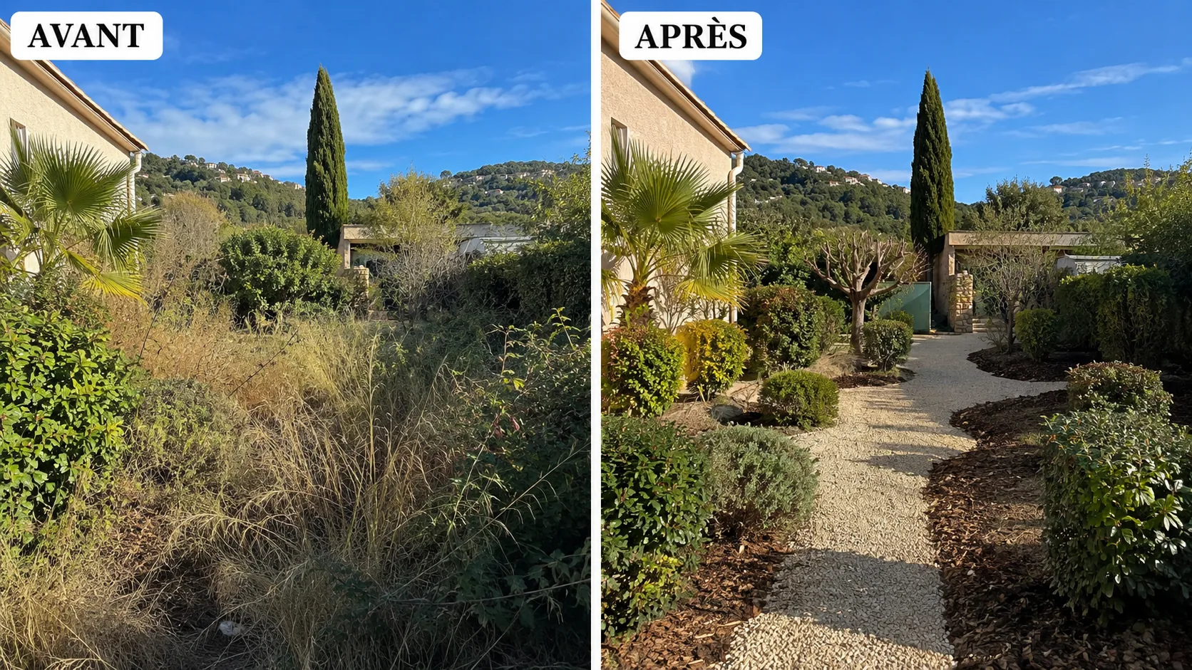Avant / après d'une remise en état de jardin abandonné dans le 06 : une allée envahie de broussailles transformée en jardin dégagé, taillé et entretenu
