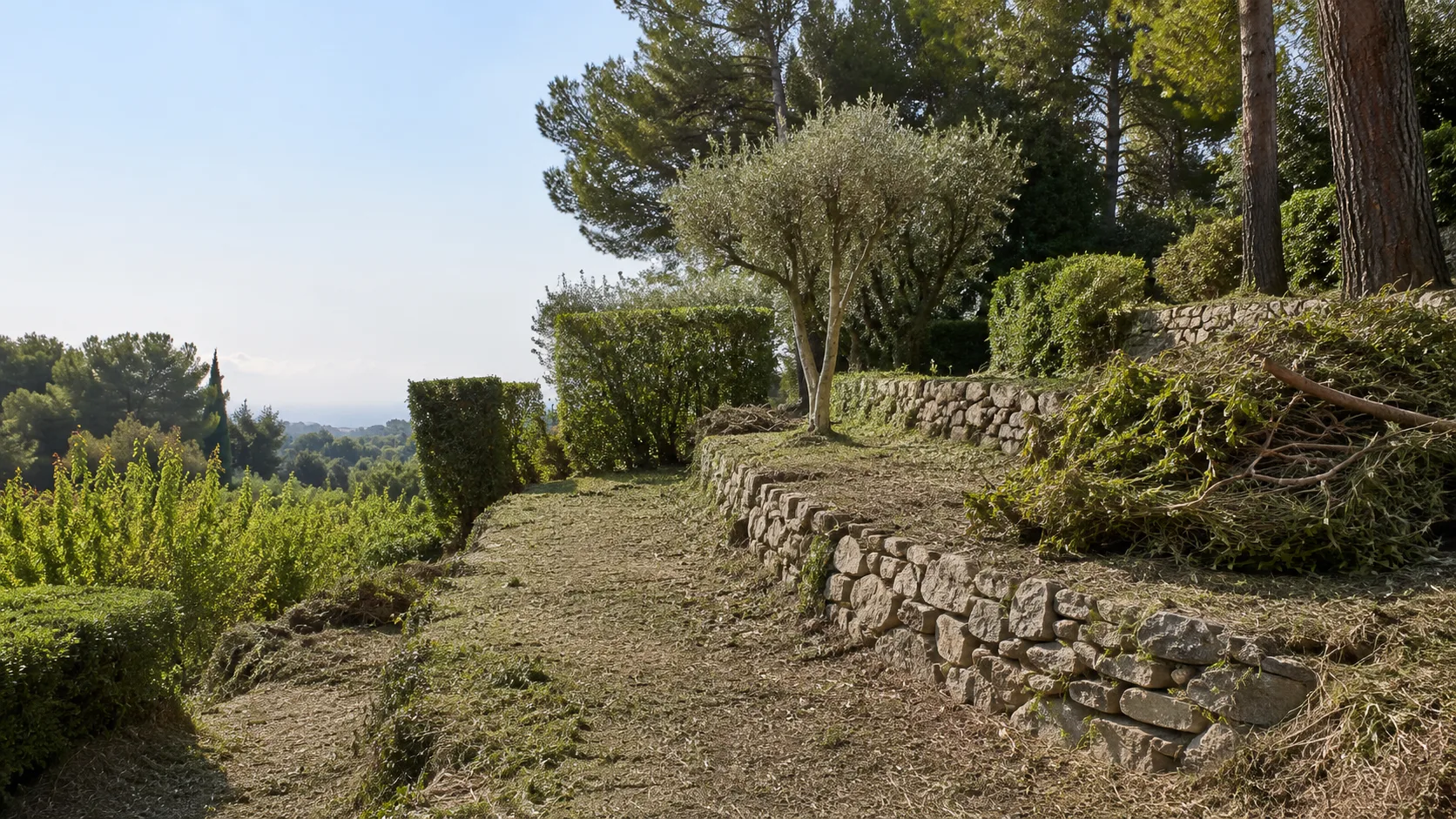 Jardin envahi remis en état avec accès dégagés dans les Alpes-Maritimes