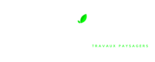Paysage 06